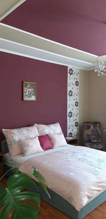 Ildi Apartman เจเนชดิแอช ภายนอก รูปภาพ